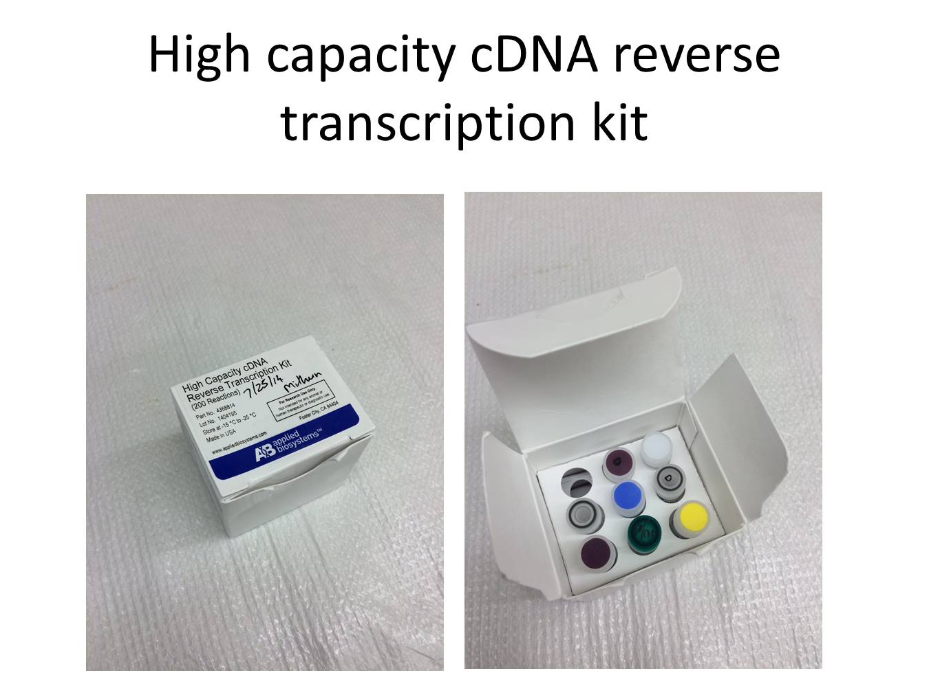 Conversion of RNA to cDNA in easy steps Kit/Reagent Review
